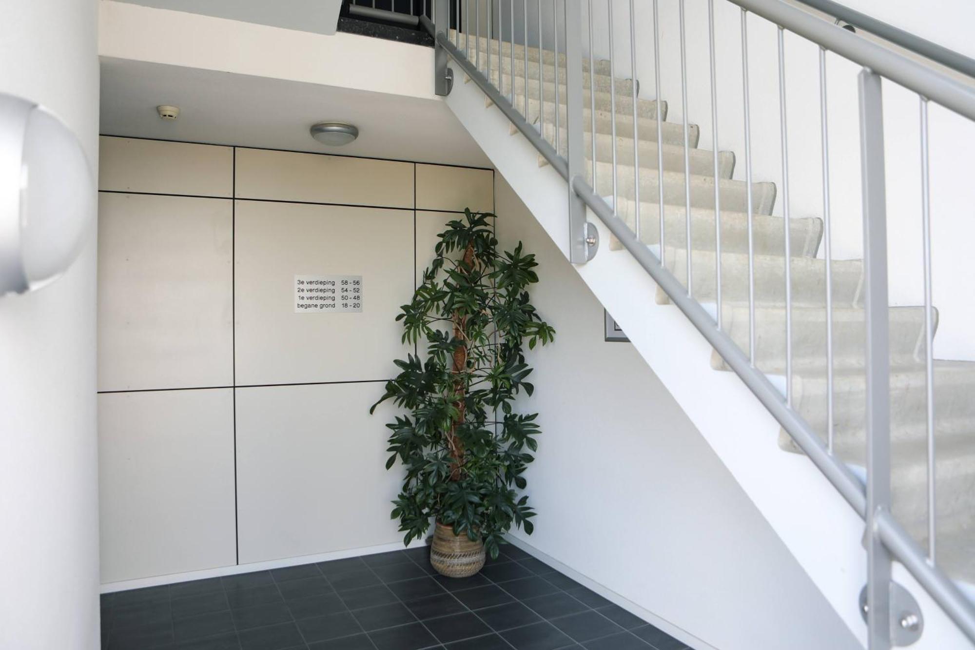Strand Appartementen Wemeldinge Exterior foto